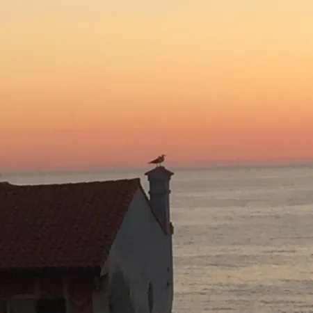 Apartment Face 2 Parking Soorts-Hossegor