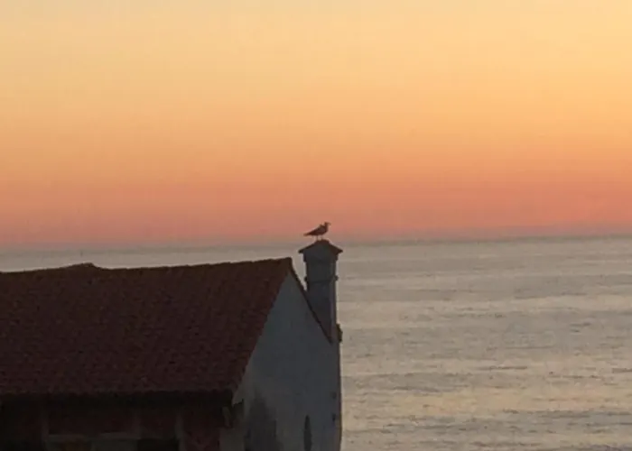 Apartment Face 2 Parking Soorts-Hossegor